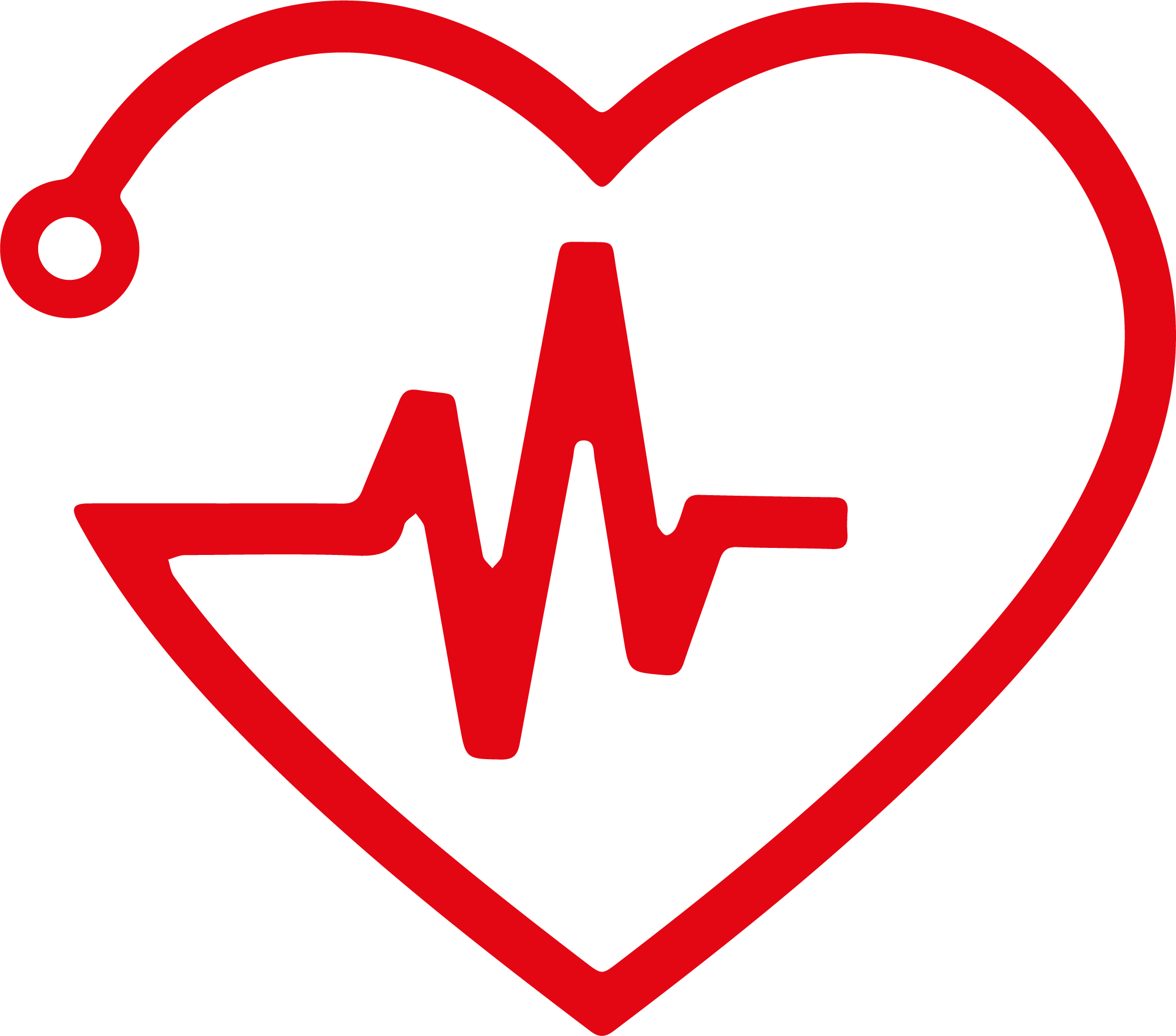 Cardiologia icon